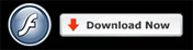 Download Adobe Flash Player 9